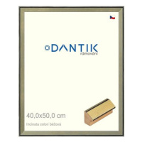 DANTIK rámeček 40 × 50, INCLINATA colori béžový sklo čiré