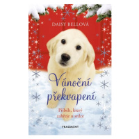 Vánoční překvapení - Daisy Bellová