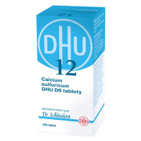 DHU Schüsslerovy soli Calcium sulfuricum D6 200 tablet