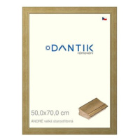 DANTIK rámeček 50 × 70, ANDRÉ velký starostříbrný plexi čiré