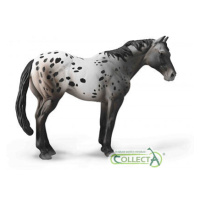 COLLECTA Appaloosa Blue grošák