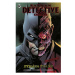 Batman Detective Comics 9 - Ztráta tváře