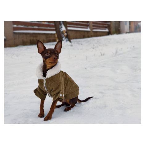 Vsepropejska Deril manšestrová bunda pro psa Barva: Zelená, Délka zad (cm): 39, Obvod hrudníku: 