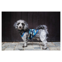 Vsepropejska Yoko maskáčové tričko pro psa Barva: Modrá, Délka zad (cm): 21, Obvod hrudníku: 28 