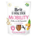 Brit Dental Stick Mobility with Curcuma & Collagen 2 × 7 ks