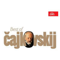 Various: Best of Čajkovskij