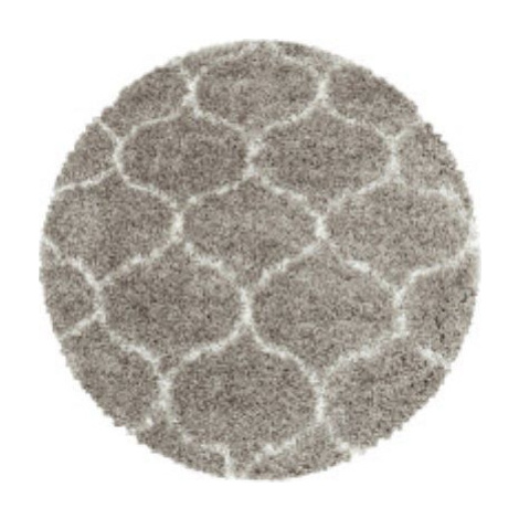 Ayyildiz koberce Kusový koberec Salsa Shaggy 3201 beige kruh Rozměry koberců: 120x120 (průměr) k