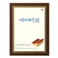 DANTIK rámeček 42 × 59,4, ZVRATNÝ červenozlatý plast plexi čiré