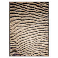 Hnědý koberec 240x330 cm Avanti – FD