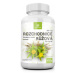 Allnature Rozchodnice Rhodiola Rosea 500mg cps.60