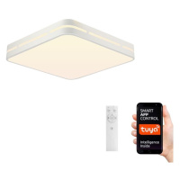 Neo  NEO 07155-W30 - LED Stmívatelné svítidlo PERFECTO 24W/230V Wi-Fi Tuya + DO