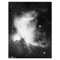 Fotografie Great Nebula in Orion, Photos.com, 30x40 cm