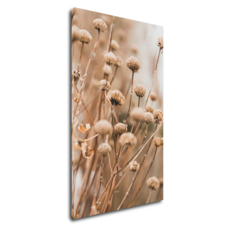 Impresi Obraz Skandinávský styl suchá tráva - 30 x 50 cm