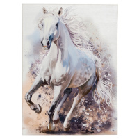 Obsession koberce Dětský kusový koberec Torino kids 235 WHITE HORSE Rozměry koberců: 80x120