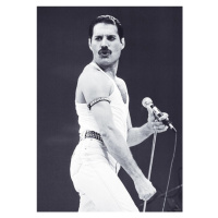 Plakát, Obraz - Freddie Mercury - Live Aid, (59.4 x 84.1 cm)