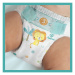 Pampers Active Baby vel. 5 Maxi Pack 11-16 kg dětské pleny 50 ks