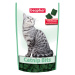 Beaphar Catnip Bits - 150 g