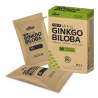 Vitar Ginkgo biloba 60mg+DMAE+vit.B6 EKO cps.60