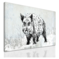 Obraz na plátně WILD BOAR různé rozměry Ludesign ludesign obrazy: 100x70 cm