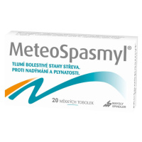 Meteospasmyl 60 mg/300 mg 20 měkkých tobolek