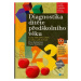 Diagnostika dítěte předškolního věku (Co by dítě mělo umět ve věku od 3 do 6 let) - kniha z kate