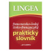 Francouzsko-český česko-francouzský praktický slovník Lingea