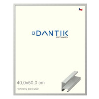 DANTIK rámeček 40 × 50, ALU profil 6220 Stříbrný matný sklo čiré