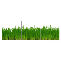 Skleněný panel 60/180 Grass 3-Elem