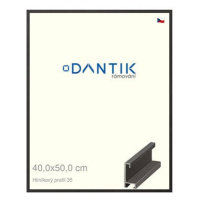 DANTIK rámeček 40 × 50, ALU profil 6035 Dýha černý sklo čiré