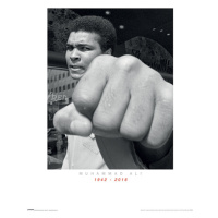 Umělecký tisk Muhammad Ali Commemorative - Punch, 60 × 80 cm