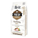 Brit Fresh turkey with pea Light Fit & Slim 2,5 kg