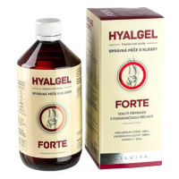 Hyalgel Forte 500ml