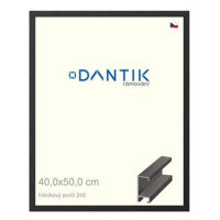 DANTIK rámeček 40 × 50, ALU profil 6240 Černý matný sklo čiré