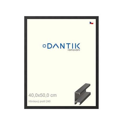 DANTIK rámeček 40 × 50, ALU profil 6240 Černý matný sklo čiré