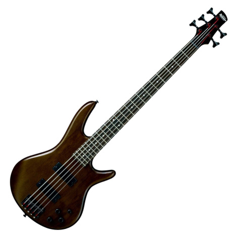 Ibanez GSR205B-WNF Walnut Flat 5-strunná baskytara