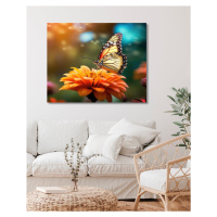 Obrazy na stěnu - Motýl na květině Rozměr: 80x100 cm, Rámování: bez rámu a bez vypnutí plátna