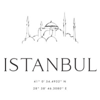 Ilustrace Istambul coordinates, Blursbyai, 26.7 × 40 cm