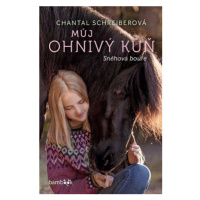 Můj ohnivý kůň 2 – Sněhová bouře - Chantal Schreiberová