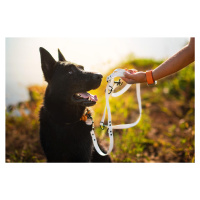 Vsepropejska Flip silikonové přepínací vodítko pro psa | 260 cm Barva: Bílá, Šířka vodítka: 1,5 