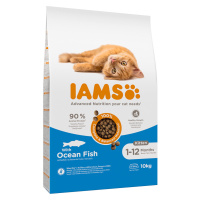 IAMS granule - 10 kg - 15 % sleva - Advanced Nutrition Kitten s mořskou rybou