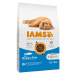 IAMS granule - 10 kg - 15 % sleva - Advanced Nutrition Kitten s mořskou rybou