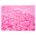 Mono Carpet Kusový koberec Efor Shaggy 7182 Pink - 160x230 cm