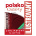 Ilustrovaný polsko-český slovník