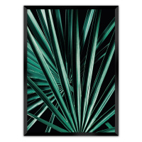 Dekoria Plakát Dark Palm Tree, 50 x 70 cm, Volba rámku: Černý