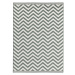 NORTHRUGS - Hanse Home koberce Kusový koberec Twin Supreme 103436 Palma Green creme – na ven i n