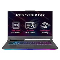 ASUS ROG Strix G17 (G713PV-LL045W) Šedá