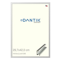 DANTIK rámeček 29,7 × 42, ALU profil 7269 Stříbrný matný plexi čiré