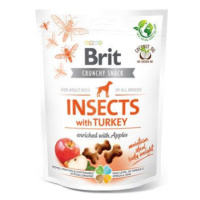 Brit Care Dog Insects with Turkey Apples funkční pamlsky 200g