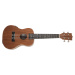 Tanglewood TWT 3 E