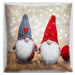 Vánoční polštář s 3D aplikací GNOMES FRIENDS 40x40 cm Mybesthome Varianta: Povlak na polštář, 40